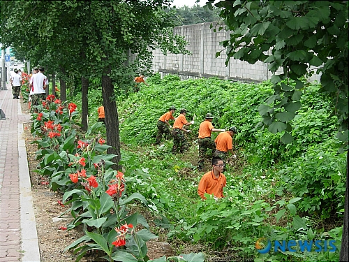 【김포=뉴시스】  경기 김포시 고촌면은 육군 제1928부대 장병 100여명과 함께 48번국도 천등고개부터 장곡 구국도변까지 제초작업 등의 환경정화운동을 벌였다고 7일 밝혔다. 지난 4일 실시된 환경정화운동에서 고촌면과 1928부대는 예초기와 낫 등의 장비를 동원해 제초 작업을 하는 한편, 주변 쓰레기 수거도 함께해 3톤가량의 방치폐기물을 수거했다./(사진 = 김포시 제공) 류숙열기자 ryusy@newsis.com