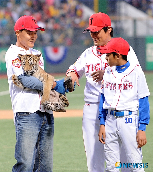 [광주=뉴시스] 지난 2009년 10월 16일 광주 무등경기장야구장에서 열린 한국시리즈 1차전 KIA 타이거즈와 SK 와이번스의 경기, V10을 기원하며 이름지어진 호랑이를 이종범이 만지고 있다. (사진=뉴시스 DB). photo@newsis.com