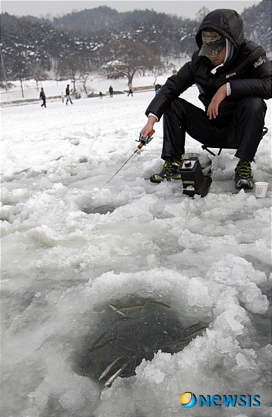 2010년 의림지 공어 낚시 모습.(사진=뉴시스DB)