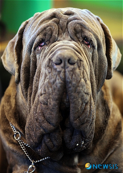 【서울=뉴시스】원추의 [오늘의 운세] 2010년 4월18일 일요일 (음력 3월5일)&nbsp; ▶ 쥐띠 = 7·9·10월생 하는 일마다 힘에 겨우니 어디론가 훌쩍 떠나고 싶겠다. 그러나 방황할 때에도 궁극적으로 자신이 해야 할 일이 무엇인지는 잊지 말아야 한다. 호랑이에게 물려가도 정신만 바짝 차리면 살아남는다는 말을 명심해야 할 때. ㄷ·ㅊ·ㅇ 성씨 투기는 불리함.&nbsp; ▶ 소띠 = 멀어진 애정이 자꾸 생각난다. 2·4·8월생은 타인의 애정문제로 인해 곤란에 처할 우려 있다. 자신의 인생은 스스로 개척해서 행복한 삶을 추구하라. ㄱ·ㅂ·ㄹ 성씨 자신의 일에 내실을 기하는 것이 급선무.&nbsp; ▶ 범띠 = 마음의 안정이 필요한 때다. 안될 때는 뒤로 넘어져도 코가 깨진다는 말을 명심하도록. 1·7·11월생 ㅎ·ㅈ·ㅁ 성씨 진급에 욕심을 낸다면 현재 위치에서 흔들릴 듯. 남에게 먼저 양보하라. 부모님과 의견대립 조심.&nbsp; ▶ 토끼띠 = 자신의 능력을 과시하지 말고 현재에 충실 하라. 3·5·12월생 사소한 일에 휘말려 구설을 들을 수 있으니 근신함이 좋다. 남들이 당신을 칭찬하는 것을 경계하고 충고를 달게 받아라. ㅅ·ㅍ·ㄹ 성씨 자녀와 의견충돌로 갈등이 클 듯.&nbsp; ▶ 용띠 = 마음이 흔들리면 함정에 빠질 수 있다. 욕심을 버리고 자신의 분수를 알고 생활하는 것이 올바르다. 2·10·11월생 남서쪽에 마음을 두고 있는 일은 가정을 파괴하는 행위이니 주의함이 좋을 듯. 금전·문서관계 철저히 할 것.&nbsp; ▶ 뱀띠 = 무슨 일을 하든지 한계를 벗어난다면 모순이 따르기 마련이다. 욕심을 앞세우지 말고 순리를 따르라. 65년생 ㅊ·ㅍ·ㅇ 성씨 여성 집에만 있자니 따분해 일을 시작했으나 마음대로 안 되는구나. 자신이 솔직하면 남을 의심하지 않는 법.&nbsp; ▶ 말띠 = 기분상하는 일이 있어도 감정을 억제하는 것이 오늘의 액운을 막는 길이다. 세상을 살다보면 참을 줄도 알아야 하는 법이다. 4·8·9월생 더 많은 인내와 용기가 요구. 사업은 현재대로 유지하는 것이 좋겠다. 서남간이 길.&nbsp; ▶ 양띠 = 혼자서만 모든 것을 알고 있다고 착각하지 마라. 5·7·11월생 생기는 것은 없이 힘만 들어 마음고생이 크겠다. 책임 있는 행동과 언어로 처신함이 좋다. 쥐·범·토끼와 인연이다.&nbsp; ▶ 원숭이띠 = 주변을 의지하지 말고 소신대로 행함이 좋을 듯. 자신의 능력을 한껏 발휘해 계획을 추진한다면 미래가 있겠다. ㄱ·ㅁ·ㅎ 성씨 마음이 나약해져 일어설 수 있을까라는 생각이 들겠지만 조금만 더 힘을 내라. 곧 좋은 일이 다가온다.&nbsp; ▶ 닭띠 = 사업으로 인해 가족들 간에 갈등이 생길까 염려된다. 가정이 평온해야 사업도 흥하는 법. 여자가 할 일은 여자가 하고 남자가 할 일은 남자가 하도록. 69년 3·5·6월생 미혼은 혼사에 너무 신경 쓰면 자존심만 상할 수.&nbsp; ▶ 개띠 = 매사에 느긋한 자세로 임하라. 인내가 필요한 시점이다. 4·9·11월생 지나친 신경이 건강을 크게 해칠 듯. 애정문제는 본인의 판단대로 대처할 것. 인정에 끌려 손해 보는 일 없도록 조심. 파란색·적색이 길색.&nbsp; ▶ 돼지띠 = 직장인은 동료들과 보이지 않는 경쟁이 예상되니 믿음으로 유대관계를 유지함이 좋겠다. 풀리지 않는 매매건은 2·3·10월생 개·용·원숭이띠 북·동쪽 사람에게 말하면 쉽게 풀릴 수. 서두르지는 말라. 건강관리 철저히 할 것./구삼원 원장 02-959-8493·010-5584-9393 