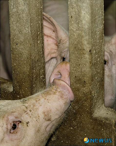 원추의 [오늘의 운세] 2010년 4월19일 월요일 (음력 3월6일)