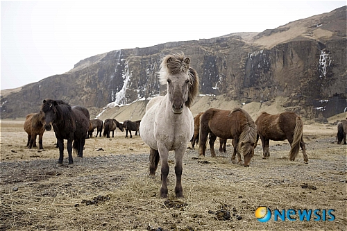 원추의 [오늘의 운세] 2010년 4월26일 월요일 (음력 3월13일)