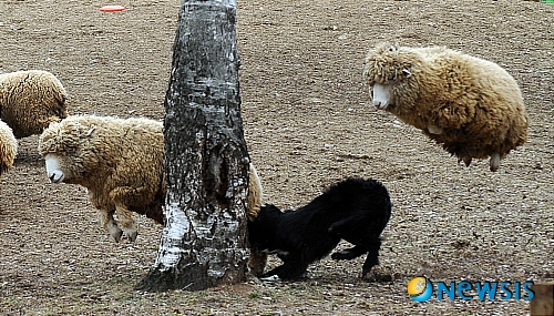 【서울=뉴시스】원추의 [오늘의 운세] 2010년 4월27일 화요일 (음력 3월14일)&nbsp; ▶ 쥐띠 = 끈기와 인내가 필요할 때. 5·7·9월생 마음이 계속 답답하겠지만, 끝까지 자존심을 내세우다가 큰 화근을 자초할 수 있으니 인내하도록. 좀 더 마음의 문을 열고 인생 공부를 해나간다는 생각을 하면 많은 것을 배울 수 있을 듯.&nbsp; ▶ 소띠 = 이성에 대해 너무 환상을 갖고 있어 관계를 지속적으로 유지해나가기가 힘들겠다. ㄱ·ㅂ·ㅎ 성씨 분수를 지켜가며 행동을 취할 것. 2·4·11월생 과로조심. 건강에 적신호가 나타날 수 있으니 주의하라.&nbsp; ▶ 범띠 = 임기웅변으로 순간만 피하려고 하지마라. 진심을 보여야 할 때다. 주관 없이 유혹에 넘어간다면 발등 찍힐 일 생길 수 있으니 조심하라. ㅁ·ㅈ·ㅎ 성씨 여성을 위한답시고 금전 낭비하면 아무리 돈 많은 갑부라도 당해낼 자 없음을 알라.&nbsp; ▶ 토끼띠 = 무엇인가 새로운 것을 찾아 변화를 시도하는 격. 겉치레를 좋아하다 주위사람들에게 오해받을 수 있겠다. 1·3·8월생 ㅁ·ㅂ·ㅍ 성씨 현재에 충실히 하라. 애정에는 욕심을 버리도록. 자기계발을 통해 자신의 생활을 갈고 닦을 때 빛이 날 수 있음을 알라.&nbsp; ▶ 용띠 = 진행하는 일을 무리하게 강행하면 누적된 것이 폭파될 수. 상황을 재 정돈하고 준비를 철저히 할 것. ㄹ·ㅇ·ㅂ 성씨 현실을 도피하지 마라. 있는 그대로를 받아들여 해결하도록. 1·4·8월생 검정색은 하는 일 풀리지 않게 만드니 삼갈 것.&nbsp; ▶ 뱀띠 = 독단적인 행동은 피하라. 특히, 감정에 치우쳐서 결단을 내리지 말도록. 65년생 ㄱ·ㅊ·ㅎ 성씨 단호한 의지가 필요한 때다. 의욕만 있다고 모든 일 뜻대로 되지 않는 법이니 자중하며 자신을 뒤돌아 볼 것.&nbsp; ▶ 말띠 = 자존심을 내세워 잘난 척하다 굴러들어오는 복도 놓치는 격. 특히, 1·4·9월생 소중한 사람 놓치지 않도록 조심. ㅇ·ㅈ·ㅍ 성씨 원예·토목·건축 업종 상대하는 사람은 활기찬 미래가 펼쳐질 운.&nbsp;&nbsp; ▶ 양띠 = 쓸데없는 말을 많이 해 주위사람들로부터 반감살 수. ㄱ·ㅂ·ㅎ 성씨 작은 불씨가 크게 번져 헤어나기 힘겨운 일 벌어질 수 있으니 조심. 부부 화합해 새 길을 모색하라. 서로가 서로를 감싸줘야 고비를 벗어날 수 있다. 자녀는 안정이 필요.&nbsp; ▶ 원숭이띠 = 한번 엎질러진 물은 주워 담을 수 없는 법. 1·6·8월생 떠나간 사람 잡으려함은 시간 낭비일 뿐임을 알라. ㅈ·ㅊ·ㅎ 성씨 사랑을 하려거든 진실한 마음을 가져라. 자기중심적인 사랑은 결코 아름다움으로 연결되지 않음을 알 것.&nbsp; ▶ 닭띠 = 자신의 분수를 알라. 이상이 높기 때문에 현실에 안주하지 못하니 본래 목적을 잃어버릴 수. 3·5·8월생 자주 변하는 마음으로 인해 결혼이 쉽게 성사되지 않겠다. 가족이나 윗사람의 의견은 겸허한 자세로 받아들일 것.&nbsp; ▶ 개띠 = 갈등은 미래의 길을 막는 일. 같이 사는 사람을 믿는 만큼 행복의 문이 열릴 수. 70년생 ㅇ·ㅈ·ㄱ 성씨 좀 더 수양을 쌓아 스스로의 결점을 찾아 보완할 것. 7·8·9월생 노란색은 지출과 낭비가 심하니 피하는 것이 좋을 듯.&nbsp; ▶ 돼지띠 = 한꺼번에 많은 것을 이루려는 욕심은 내려놓아라. 기초가 튼튼해야 더 많은 것을 올려놓을 수 있음을 깨닫도록. 6·11·12월생 ㅁ·ㅍ·ㅅ 성씨 내 것이 아닌 것에는 눈독도 들이지 말 것. 밤길 차조심./구삼원 원장 02-959-8493·010-5584-9393 