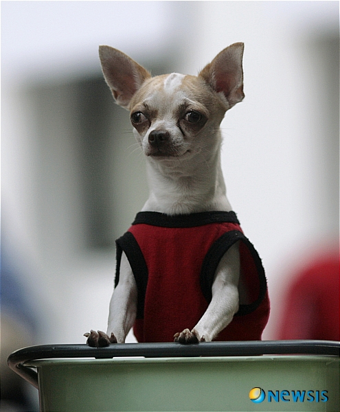 【서울=뉴시스】원추의 [오늘의 운세] 2010년 4월30일 금요일 (음력 3월17일)&nbsp; ▶ 쥐띠 = 3·7·11월생 재물 운이 항상 따르는 편이다. 그러나 부부관계가 원만하지 못할 수 있으니 주의하라. 서로 아껴주는 마음이 있어야 직장과 가정에서 행복해 질 수 있다. 받으려고만 하지 말고 베풀어라. 토끼는 한 마리만 쫓아라. 둘 다 잡으려다 에너지만 소비할 듯.&nbsp; ▶ 소띠 = 작은 것이 모여 큰 것이 되는 법이다. 작은 것도 그냥 지나치지 말고 관심을 가져라. 2·5·8월생 투자하는 것은 좋으나 동업은 삼갈 것. 문서관계 도장 함부로 찍지 말 것.&nbsp; ▶ 범띠 = 자신보다 약한 사람에게 베푸는 행위는 값진 일이다. 2·3·11월생 ㄱ·ㅂ·ㄹ 성씨 나이 차이가 많은 자와 인연을 맺고 함께 하는 것은 하늘이 맺어준 인연임을 알라. 서남향은 피하라.&nbsp; ▶ 토끼띠 = 자신의 위치를 지키지 못하고 경거망동한다면 미래가 어둡겠다. 무분별한 애정은 가족전체를 불행하게 만들 듯. 현재 진행하고 있는 일이 힘들어도 인내하면 곧 정상에 설 수 있으니 힘내라. 1·4·10월생 무릎신경에 이상이 있거나 흉터생길 수 있으니 조심.&nbsp; ▶ 용띠 = 64년생 ㅅ·ㅍ·ㅎ 성씨 분수를 지키고 책임을 다한다면 주위의 찬사도 받고 귀인도 따르겠다. 2·7·11월생 애정은 한길로만 가라. 쥐·말·닭띠의 도움 필요할 듯.&nbsp; ▶ 뱀띠 = 여성은 가정에 힘을 보태겠다고 열심히 살고 있으나 힘든 일들이 눈앞에 전개돼 절망할 수. 1·4·8월생 이미 깨진 일에 전전긍긍하지 말라. 금전은 따르는 편이지만 애정은 멀어져가 답답함에 눈물 뿐. 검정색은 삼가.&nbsp; ▶ 말띠 = 모든 일에는 질서가 있는 법이니 무조건 결과만 중시하지 마라. 5·7·9월생 ㅍ·ㅈ·ㅇ 성씨 기다렸던 임신소식에 좋을 줄 알았는데 막상 성사되니 고민이 되는구나. 자신감이 절실히 요구됨.&nbsp; ▶ 양띠 = 3·5·6월생 비관적인 마음을 긍정적으로 바꿔라. 인생은 남이 살아주는 것이 아니다. 행복은 자신의 노력으로 만드는 것. ㄱ·ㅂ·ㅊ 성씨 벌려놓은 것이 안 된다고 고심만 말고 용기를 가지고 진행시키도록. 빈·부차는 마음에 있음을 알라.&nbsp; ▶ 원숭이띠 = 뜻이 있는 곳에 길이 있다. 4·6·12월생 가정과 직장에서 순조롭겠다. 단, 지나치게 신경 쓰면 역효과가 있을 듯. 현재 불안을 막아내지 못하면 신병 우려됨.&nbsp; ▶ 닭띠 = 자신의 기량을 모두 쏟아내지 못하니 정상 등극이 늦어진다. 2·5·10월생 부지런함으로 생활에 활력을 찾으라. ㄴ·ㅍ·ㅊ 성씨 타인이 무심히 던진 언행에 복이 있으니 포착하라.&nbsp; ▶ 개띠 = 재산 증식과 함께 땀흘린 보람을 찾을 수 있는 기회가 오겠다. ㅈ·ㅇ·ㅂ 성씨는 바라는 바가 좀 지연되겠지만 곧 성취 가능하니 너무 조급해하지 말라. 2·6·9월생 애정은 두 길로 가는 것을 피하라. 북·동쪽에서 음식료품·가구업에 종사하는 자는 길.&nbsp; ▶ 돼지띠 = 이웃이나 친구 간에 이익을 추구하다 보면 의견대립으로 법정까지 갈 염려 있다. 서로 양보하는 마음으로 화해함이 좋을 듯. 3·10·12월생 애정은 책임지지 못할 언행은 삼가라./구삼원 원장 02-959-8493·010-5584-9393 