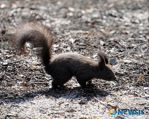 【서울=뉴시스】원추의 [오늘의 운세] 2010년 5월2일 일요일 (음력 3월19일)&nbsp; ▶ 쥐띠 = 노부모가 있다면 먼 여행은 삼감이 좋을 듯. 2·7·12월생 특히 건강에 신경을 써야겠다. 갑작스러운 사고가 닥칠 수 있으니 조심조심 외출하라. 72년생 ㄱ·ㅊ·ㅂ 성씨 애정은 숨바꼭질만 하는 격. 흰·오렌지 색이 길.&nbsp; ▶ 소띠 = 1·3·6월생 고난의 시기가 걷히고 소망을 이룰 수 있는 시기가 왔다. 대인관계를 원만하게 한다면 좋은 성과 있을 듯. ㄷ·ㅍ·ㅎ 성씨 애정은 노력 여하에 따라 꽃필 수 있겠다. 북·동쪽으로 투자는 길하다.&nbsp; ▶ 범띠 = 지금보다 미래를 생각하는 마음을 주변에서 알아주는 날이 올 듯. 62년생 ㅈ·ㄴ·ㅇ 성씨 야망이 이뤄질 것이다. 4·8·12월생 사랑하는 사람 몰래 행하는 일은 모험이다. 언행조심.&nbsp; ▶ 토끼띠 = 2·5·9월생 남을 원망하기 전에 자신의 잘못이 무엇인지 먼저 반성하라. 이기적인 성격은 버리고 마음속에 맺힌 것을 풀어야할 듯. 가정에 중요성을 알고 신경 써라. ㄱ·ㅂ·ㅌ성씨 남의 일에 섣불리 간섭 말 것.&nbsp; ▶ 용띠 = 모든 것이 침체된 시기. 3·7·11월생 욕심으로 투자를 크게 하면 손해 볼 우려가 있으니 조심하라. 기회를 포착하도록. 북서쪽이 길.&nbsp; ▶ 뱀띠 = 힘들게 살고 있으니 희망이 보이니 조금만 더 노력하라. 4·10·12월생 중계·건축업 종사자는 소득이 있겠다. ㄱ·ㅇ·ㅍ 성씨 애정은 화합이 안 돼 언쟁이 심할 듯. 아내의 신체에 결함이 생길 수 있으니 관심을 가져라. 오해로 인해 사업을 망칠 수 있으니 조심하라.&nbsp; ▶ 말띠 = 좋은 일에 방해자가 생길 수 있으니 비밀을 지키고 경계함이 좋을 듯. 오늘은 일찍 귀가함이 좋겠다. 5·8·11월생 동료들과 취중에 실언을 해 구설이 들릴 듯싶다. 애정은 잘못된 생각과 판단으로 오해를 받을 수. 타인에 대한 폭 넓은 이해가 필요.&nbsp; ▶ 양띠 = 동기간에 우애가 없으니 불화가 잦다. 3·4·9월생 서로 양보하고 위하는 마음이 필요. 화목한 가정을 위해서는 서로가 이해하고 화합하는 것이 좋겠다. 동업하는 사람이 잘하고 있지만 경계심은 풀지 마라. ㄴ·ㅌ·ㅇ 성씨 허황된 생각은 버려라.&nbsp; ▶ 원숭이띠 = 항상 욕심이 앞서니 득이 없다. 말만 앞세우지 말고 실천부터 하라. 오랜만에 시간을 얻어 갈 곳은 많으나 함께 할 사람과 의견이 맞지 않는구나. 3·7·12월생 적색이 길. 헤어짐은 다시 만날 것을 예견하는 법. 가슴아파할 일이 아니다.&nbsp; ▶ 닭띠 = 사업가는 종업원 관리가 절실히 필요할 때다. 방심하다가 손재수가 염려되니 각별히 신경 쓰는 것이 좋을 듯. 1·5·10월생 부부간 이제 마음을 풀고 화합하라. 자녀들의 의견을 무시하면 화근이 된다. 자기능력을 한껏 발휘하면 좋은 성과 있겠다.&nbsp; ▶ 개띠 = 필요이상으로 칭찬하는 사람을 경계하라. 1·3·8월생 아무 생각 없이 다른 사람을 믿었다가 손해 볼 수. 모든 일들이 마음만 들뜨게 하고 정작 실속이 없다. 형제 자매간도 왠지 멀어져 가는 느낌이다. ㄷ·ㅂ·ㅊ 성씨 자기 발전을 위해서 활발하게 활동을 하라.&nbsp; ▶ 돼지띠 = 항상 마음이 분주하고 심신이 고달프니 지혜롭게 처신함이 좋겠다. 6·7·9월생 삶이 창살 없는 감옥살이를 하는 것아 답답하다. 서남간의 개·용·원숭이띠가 힘이 되겠으니 조언을 구하도록./구삼원 원장 02-959-8493·010-5584-9393 