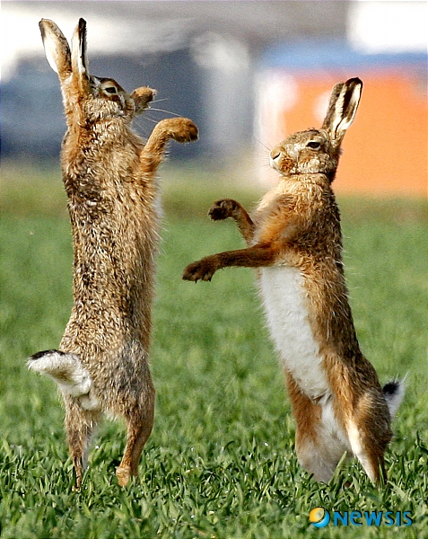 【서울=뉴시스】원추의 [오늘의 운세] 2010년 5월5일 수요일 (음력 3월22일·입하·어린이날)&nbsp; ▶ 쥐띠 = 가정이 있는 사람이 자기의 본분을 지키지 못하고 부정하게 정을 통한다면 크나큰 화근을 만드는 일. 자제함이 좋겠다. 7·9·12월생 ㅂ·ㅊ·ㅇ 성씨 무슨 일을 하든 끈기가 필요함을 알라.&nbsp; ▶ 소띠 = 남에게 의지하는 것보다 자립하는 것이 있다. 주어진 기회를 잘 포착해서 자신의 포부를 성취하도록. 2·3·11월생 사업은 날이 갈수록 점차 좋아지겠다. 단, 아무리 급하다 해도 도장은 남용하지 말 것. 북동쪽이 길.&nbsp; ▶ 범띠 = ㄹ·ㅈ·ㅂ 성씨 사업에 크나큰 기대를 걸면 실망이 크겠다. 인내를 가지고 서서히 침착하게 진행하라. 5·7·10월생 자녀를 미워 말라. 좋으나 미우나 사랑의 끈이다. 부모의 잘못으로 자식이 불행해서는 안 된다. 음식료품·목제 업종 종사자는 길하다.&nbsp; ▶ 토끼띠 = 희생을 감수하고 노력한 대가로 어려운 문제를 해결하니 윗사람의 신임을 받고 자존심도 회복하겠다. 1·3·5월생 후회와 충격이 클 수 있으니 자기가 뿌린 것에는 책임을 져라. 복잡한 일을 자초하지 말 것. 검정색은 금물.&nbsp; ▶ 용띠 = 자신의 이상보다 큰 것을 바란다면 백번 실패다. 자신에게 맞는 선택을 하라. 남이 인생을 살아주는 것은 아니다. 8·9·12월생 청색·주황색 길조. 의연한 자세로 겸손하게 대처함이 좋을 듯. 투기는 삼가.&nbsp; ▶ 뱀띠 = 정신적으로 압박감에 사로잡혀서 모든 일이 어수선하겠다. ㅎ·ㅍ·ㅁ 성씨 모든 것을 순리적으로 생각해 풀어라. 감정을 앞세우면 후회할 듯. 1·4·8월생 애정은 의연한 자세로 겸손하게 대처함이 좋을 듯.&nbsp; ▶ 말띠 = 마음이 들뜨고 흔들리면 매사가 흐트러지게 된다. 4·5·9월생 무슨 일을 하든지 균형을 잃지 말고 안정을 찾아라. 66년생 ㄷ·ㅊ·ㅂ 성씨 빈 깡통이 소리만 요란하다. 겉보다는 내면을 채우기 위해 노력하라.&nbsp; ▶ 양띠 = 금전적으로 여유가 있지만 항상 혼자인 것 같아 외로움을 안고 산다. 1·2·10월생 한 많은 세월을 탓하지 말고 자신의 인생은 스스로 개척하라. 웃음 짓는 얼굴이 필요할 때. ㅇ·ㅈ·ㅍ 성씨 궂은일도 마다않고 최선을 다하니 승진할 운.&nbsp; ▶ 원숭이띠 = 혼자서 하기엔 힘겨운 일로 시달리다보니 건강을 해칠 염려 있다. ㅅ·ㅌ·ㅎ 성씨 말을 함부로 한다면 사업과 가정에 피해를 끼치겠다. 정신을 한곳으로 집중시켜 새로운 각오로 활동 범위를 넓혀라. 2·4·6월생 회색·오렌지색 길조.&nbsp; ▶ 닭띠 = 4·5·8월생 풀리지 않는 일은 친지와 의논하면 도움 받을 수. 단, 너무 무리하다가 건강을 해칠 수 있다. 내일을 위해서 에너지 충전도 하면서 전진하라. 서남쪽에 있는 돼지·뱀·원숭이띠가 힘이 될 듯. 자신은 자신만이 지킬 수 있다. 녹색 길조.&nbsp; ▶ 개띠 = 남들도 자신같이 불황을 겪고 있다. 변동하려고 해도 시기가 아니다. ㅅ·ㅇ·ㅂ 성씨 어려움이 서서히 풀리겠으니 참고 기다려라. 3·7·10월생 애정은 방황할 수. 쥐·토끼·닭띠가 도움 줄 듯.&nbsp; ▶ 돼지띠 = 자신이 해야 할 일을 잊고서 다른 방향으로 간다면 백번 실패다. 10·11·12월생 사업하는 사람은 동업자를 잘 지켜보는 것이 좋을 듯. 현재는 기다림이 최상이다. 북·동쪽이 길./구삼원 원장 02-959-8493·010-5584-9393&nbsp; 