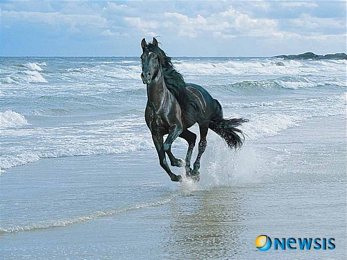 【서울=뉴시스】원추의 [오늘의 운세] 2010년 5월8일 토요일 (음력 3월25일)&nbsp; ▶ 쥐띠 = 자신의 이익만 내세워 공동체 생활에 지장을 끼치는 것은 모두가 피해를 보는 행위다. 특히, 7·11·12월생 화합하는 것만이 모두를 위하는 길임을 알라. 용기가 더 필요할 때. 부부싸움은 대화로 풀어라. 금융계 투자는 길.&nbsp; ▶ 소띠 = 자만하지 말고 배우는 자세로 일처리를 해야 한다. 억지보다는 순리대로 일을 처리하도록. 또 정성을 들이는 것도 잊지 마라. 6·8·9월생 ㅂ·ㅇ·ㅈ 성씨 북쪽에 있는 일은 잊어버리고 새로운 각오로 임해야할 듯. 흰색·파란색이 길색.&nbsp; ▶ 범띠 = 감정을 억제하고 차분히 일을 처리하는 것이 진정 자신을 위하는 길임을 알라. 잘못을 무조건 다른 사람에게 돌리기보다 때로는 자신이 책임지는 모습을 보이도록. 4·5·6월생 세상에 비밀은 없음을 알라 투기는 삼가.&nbsp; ▶ 토끼띠 = 표현 방법에 따라 애정이 더욱 돈독해질 수 있는 법. 2·3·11월생 가끔은 마음껏 자신을 꾸미고 연출하는 것도 좋겠다. 현재 별 소득이 없을지라도 꾸준히 노력하면 훗날 덕이 돼 돌아올 듯.&nbsp; ▶ 용띠 = 지금은 누구나가 불경기다. 곧 호전 될 듯하니 조금만 더 참아라. 5·7·10월생 흐트러져 있던 재물 모여들겠다. 노부모님과 떨어져서 사는 사람은 수시로 소식을 전하는 것도 효도의 한 방법임을 알라. ㅅ·ㅍ·ㅎ 성씨 1인 2역으로 마음이 고달프다.&nbsp; ▶ 뱀띠 = 신용을 높이고 대인관계를 원만히 해야 한다. 어느 누구에게 어떤 도움을 청하게 될지는 아무도 모르는 법이다. 1·9·11월생 북·동쪽이 길하다. 여성은 남성들이 하는 일에 너무 신경 쓰지 마라. 지금은 휴식이 필요할 때.&nbsp; ▶ 말띠 = ㅅ·ㅊ·ㅂ 성씨 어지럽던 지난날은 모두 잊어버려라. 새로운 각오로 모든 것을 다시 시작하도록. 4·6·8월생 여성은 남자가 하는 일에 불만을 품지 말고 긍정적인 생각으로 화합하라. 노랑은 심한 지출을 부르는 색.&nbsp; ▶ 양띠 = 무슨 일이든 극단적으로 생각하지 말고 심사숙고해서 처신하라. 때가되면 꿈을 성취할 날이 있으리라. 1·5·9월생은 사랑하는 사람과 성격 차이로 헤어질 수 있으니 조심하라. 곧 반가운 소식을 맞고 수입도 올릴 수. 음식료품 업종 종사자 길.&nbsp; ▶ 원숭이띠 = 지난 일에 매달려 후회하기보다는 마음을 가다듬고 재도전하라. 1·3·6월생 ㄱ·ㅁ·ㅎ 성씨 하면 된다는 자신감으로 가족과 함께 합심해 일을 한다면 좋은 성과 있을 듯. 동쪽에서 귀인이 다리역할 할 수.&nbsp; ▶ 닭띠 = 세상일이 자신의 뜻대로 모두 이루어지는 법은 없다. 실패는 성공의 어머니라고 했듯이 과거를 거울삼아 더욱 큰 희망을 가져라. ㄹ·ㅂ·ㅊ 성씨는 사람을 통솔할 때 지혜롭게 처신할 것. 2·5·12월생 아무 생각 없이 내뱉은 말로 문제가 생길 수 있으니 언행조심.&nbsp; ▶ 개띠 = 아무리 유능한 사람이라도 유대관계가 원활하지 못한다면 자신의 뜻을 성취하기란 어렵다. 잘될듯하면서도 정작 일처리가 늦어져 손해가 막심할 듯. 3·4·9월생 연상연하와 엮여 구설수에 오를 수 있으니 조심하라. 검정색은 피하도록.&nbsp; ▶ 돼지띠 = 한 사람으로 인해 직장전체 분위기가 어두워질 수 있다. 그러니 아무리 할 일이 많고 짜증이 난다해도 참는 것이 미덕. 애정은 두 사람이 좋으면 그만이다. 지역감정이 벽이 되어서야 되겠는가. 8·10·11월생 미혼은 친구의 도움으로 짝꿍이 생길 듯./구삼원 원장 02-959-8493·010-5584-9393 