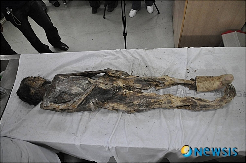 【서울=뉴시스】이재훈 기자 = 임진왜란 이전인 1500년대 중반 생몰(生歿)한 것으로 추정되는 조선시대 여성의 미라가 발굴됐다.&nbsp; 서경문화재연구원(원장 장명수)은 경기 오산 가장2 일반산업단지 공사현장에서 문화재 시·발굴 조사를 하다가 조선시대 회곽묘(灰槨墓)를 찾아냈다고 13일 밝혔다.&nbsp; 회곽묘 안의 목관 위에는 2개의 현훈(玄纁)이 놓여있다. 그 아래에는 ‘宜人驪興李氏之柩(의인여흥이씨지구)’라는 명정(銘旌)이 확인된다. ‘의인’이라는 호칭은 발견된 미라가 사대부 가문의 부인이었다는 사실을 뜻한다. 이와 함께 관을 덮은 구의(柩衣)도 나왔다.&nbsp; 서쪽 단벽 목관과 목곽 사이 중앙에서는 목제 빗 2점과 머리카락이 발견됐다. 서쪽 단벽과 북쪽 장벽이 만나는 모서리 부분에서는 머리카락 뭉치가 종이에 감싸져 있는 형태로 출토됐다.&nbsp; 목관과 목곽 사이 좌측 상단과 하단, 우측 상단과 하단에서는 4개의 운아삽(雲亞翣), 즉 상여에 그려진 문양이 발견됐다.&nbsp; 미라가 발견된 묘는 봉분이 없는 상태다. 인근에 남편의 묘가 있다. 남편 묘는 발굴 전이다. 각종 염습의 26점과 유물 10여점에 둘러싸여 있던 미라의 키는 조선 여성의 평균인 154㎝ 정도다.&nbsp; 연구원 측은 “이번에 발견된 미라와 복식은 매우 양호한 상태”라며 “조선 전기시대 생활사 연구에 큰 도움이 될 것으로 보인다”고 전했다.&nbsp; 발굴 조사에는 김우림 울산박물관추진단장과 김한겸 고려대 교수팀(미라담당), 권영숙 부산대 교수팀(복식담당) 등이 참여했다. 고려대팀은 미라에서 채취한 각종 샘플 등으로 미라를 분석할 예정이며, 부산대팀은 보존처리를 거쳐 분야별로 연구할 계획이다./realpaper7@newsis.om 