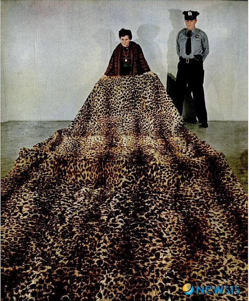 【서울=뉴시스】이재훈 기자 = 시민단체 문화재제자리찾기와 조계종 중앙신도회 등이 명성황후(1851~1895)의 ‘표범 카펫’ 찾기에 나섰다.&nbsp; 이들은 18일 오후 서울 인사동 물파공간에서 “6·25 당시 유출된 조선왕실 표범 카펫의 행방이 묘연한 상태”라며 “관계당국이 적극적으로 행방을 추적해야한다”고 요구했다.&nbsp;&nbsp; 이 카펫은 표범 48마리의 가죽을 이어 붙여서 만들었다. 명성황후의 접견실에 깔려있던 것으로 추정되며 6·25 동란 때인 1951년 5월 미군병사가 25달러에 사들여 미국으로 유출한 것으로 알려졌다.&nbsp; 문화재제자리찾기 사무총장 혜문 스님은 “미국으로 유출된 문화재를 조사한 결과, 표범가죽이 미국에 의해 전쟁 당시의 약탈품으로 분류돼 1951년 8월부터 1952년 2월 사이 주미 한국대사관에 반환된 것으로 밝혀졌다”고 설명했다.&nbsp; 그러나 “그 뒤 카펫의 행방이 묘연하다”면서 “당시의 유력자가 은닉한 것이 아닌지 의혹을 갖고 있다”고 지적했다.&nbsp; 혜문 등은 명성황후 표범 카펫의 행방을 찾기 위한 국민감사를 청구할 계획이다.&nbsp; 문화재제자리찾기는 미국의 기록보존소에 보관된 마이크로 필름 목록을 통해 6·25의 와중에 명성황후 표범 카펫을 비롯, 해외로 불법 유출된 문화재 목록을 파악 중이다./realpaper7@newsis.com 