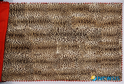 【서울=뉴시스】이재훈 기자 = 6·25동란 당시 국외로 불법반출됐다가 국내 반환된 것으로 추정되는 ‘명성황후 표범 양탄자’와 유사한 유물을 찾았다.&nbsp; 국립중앙박물관(관장 최광식)은 명성황후(1851~1895) 표범 양탄자와 비슷한 유물이 박물관에 소장돼 있음을 확인했다고 25일 밝혔다.&nbsp;&nbsp; 명성황후 표범 양탄자는 표범 48마리의 가죽을 이어 붙여서 만들었다. 명성황후의 접견실에 깔려있던 것으로 추정되며 6·25 당시인 1951년 5월 미국인 길트너 중사가 25달러에 사들여 미국으로 유출한 것으로 알려졌다. 그러나 미국 당국과 뉴욕주재 한국 총영사관의 노력으로 같은 해 국내 반환됐으리라는 추측이다. 최근 시민단체 문화재제자리찾기와 조계종 중앙신도회 등이 소재 파악에 나서는 등 관심이 고조되고 있는 유물이다.&nbsp; 국립중앙박물관이 소장한 표피(豹皮)는 세로 6줄의 무늬와 주위 테두리에 파상형 붉은 천 장식이 붙어있는 것이 특징이다. 크기(243×574㎝)도 1951년 사건 당시 미국 월간 ‘라이프’에 공개된 크기(250×560㎝)와 엇비슷하다. 문제의 문화재와 동일품일 가능성이 상당하다.&nbsp; 이 유물은 2009년 ‘잔치풍경- 조선시대 향연과 의례’ 전시에 출품될 예정이었으나 워낙 커서 진열장 내 전시가 불가, 무산된 바 있다.&nbsp; 박물관 관계자는 “건청궁 내에서 명성황후의 실제 사용 여부와 소장경위에 대해서는 아직 확증적 자료가 없다”며 “뒷면의 오얏꽃 문양 장식으로 미뤄 황실 소용으로 제작됐던 것은 확실하다”고 전했다. “크기나 보존 상태에 측면에서도 비교할만한 유물이 없는 만큼 그 가치는 매우 클 것”으로 짚었다./realpaper7@newsis.com 