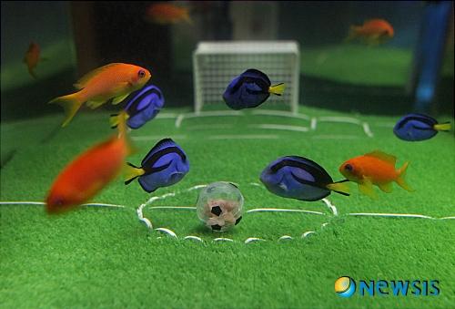 【서울=뉴시스】신동립의 잡기노트 <192> = ‘나무꾼과 선녀 설화 연구’로 성균관대에서 학위를 받은 문학박사이기도 하다. <관련기사 있음>&nbsp; 문화부장 reap@newsis.com 