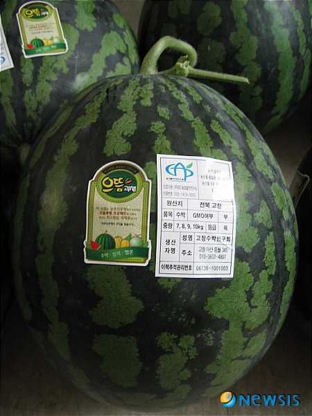 【고창=뉴시스】신홍관 기자 = 전북 고창군수박연구회 신건승 농가가 서울 대형마트의 으뜸과채 전시 판매행사 출품해 대상을 수상한 고창황토배기수박 제품. <관련기사 있음>&nbsp; shong@newsis.com