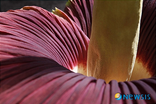 【서울=뉴시스】이현주 기자 = “아내를 지금까지 내 소유물로 생각했다. 정말 미안하다. 눈물난다.”&nbsp; 출산율을 높이기 위한 시민단체 부부핵교(www.yeobo.org)가 공개한 어느 부인의 ‘성생활 일기’에남편들이 화답하고 나섰다. “여자를 너무 몰랐다”, “아내의 소중함이 이런거구나”, “섹스가 수능보다 어렵네”라며 성생활의 기쁨, 불안, 희망사항 따위를 담은 자신들의 일기장을 내놓는 남자들이다.&nbsp; 2일 부부핵교 황주성 대표는 “국내 뿐만 아니라 미국, 일본, 중국, 프랑스, 남아국 등 해외에서 생활하는 남편들의 일기장이 10분 간격으로 올라와 여성들의 관심을 모으고 있다”고 전했다.&nbsp; 이들 남편은 아내들에게 ‘대화’를 요구했다. 퉁명스러운 말투 대신 연애시절처럼 조곤조곤하게 애정을 표현해 달라는 것이다. 그러면서도 “아내를 볼 때마다 눈물이 난다”며 미안해 하는 남편들이 많다.&nbsp; 결혼을 앞둔 남녀도 이 일기장들을 주목하고 있다. 황 대표는 “부부생활 선배들의 일기장을 통해 대학에서도 배우지 못한 소중한 지식을 얻었다면서 결혼생활에서 가장 중요한 것이 정력인줄 알았는데 경험담을 보니 솔직함, 상대에 대한 배려, 대화가 더욱 소중하다는 것을 깨달았다는 처녀총각이 적지 않다”고 귀띔했다.&nbsp; lovelypsyche@newsis.com