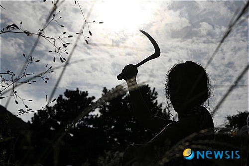 【서울=뉴시스】진현철 기자 = 제4회 시네마디지털 서울영화제(CinDi)가 재능있는 감독을 육성코자 올해 신설한 ‘버터플라이’ 부문 경쟁작들을 확정했다. 2010 칸 국제영화제 비평가주간에 초청된 ‘김복남 살인사건의 전말’(감독 장철수)을 비롯해 ‘간증’(〃박수민), ‘암초가 있는 곳’(〃이상일), ‘애니멀 타운’(전규환), ‘저주의 기간’(〃허정), ‘짐승의 끝’(〃조성희), ‘REC’(〃소준문) 등 15편이다. CJ엔터테인먼트가 경쟁부문에 진출한 감독 중 일부의 차기작을 지원한다. 다음달 18~24일 압구정 CGV에서 열리는 CinDi에서는 모두 90여 편의 디지털 영화가 상영된다. agacul@newsis.com