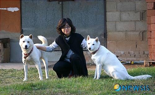 【정읍=뉴시스】신홍관 기자 = 남한과 북한 순수 혈통의 진돗개와 풍산개에서 태어난 강아지를 '통일'이라 이름붙여 이웃들에게 분양에 나선 윤정희씨가 전북 정읍 덕천면 자신의 집에서 포즈를 취하고 있다. <관련기사 있음>&nbsp; shong@newsis.com