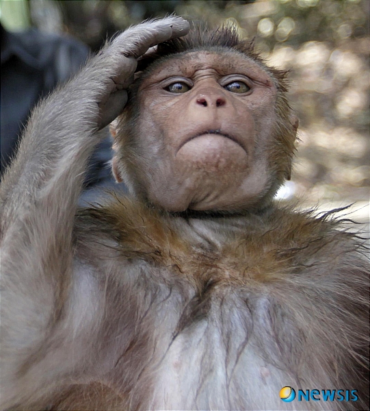 【서울=뉴시스】진현철 기자 = 가수 MC몽(31)의 병역기피 의혹으로 연예계가 떠들석했다. 의혹은 꼬리를 물고 고의 발치 논란까지 이어졌다.&nbsp; SBS TV ‘그것이 알고싶다’가 30일 밤 11시10분 ‘MC몽 사건의 이면’을 방송한다. MC몽으로부터 불거진 병역 기피 문제를 뒤집어 현실을 조명하고, 사회 지도층 인사의 병역 기피 의혹을 취재했다.&nbsp; 제작진은 연예인보다 더 도덕·법률적으로 엄격해야 할 집단이 인사 청문회마다 제기되는 고위 정치인과 그 자제이지만, 이에 대한 국민의 분노가 오래 가지 않는다고 짚는다.&nbsp; 제작진이 군필자와 미필자 등 성인남성 600명을 대상으로 한 여론조사에 따르면, 85％가 ‘징병절차가 공정하지 않다’고 응답해 병무행정을 불신하고 있었다. 이 중 72.5％는 공정하지 않은 가장 큰 이유로 고위공직자와 그 자식, 연예인 등 특정계층의 불법행위를 꼽았다.&nbsp; 실제로 현 정부 내각의 군 면제 비율은 24.1％로 일반 국민의 평균 면제 비율 2.4％의 10배 수준이었다. 지방자치단체장의 군 면제 비율도 22％에 이르는 것으로 나타났다.&nbsp; agacul@newsis.com