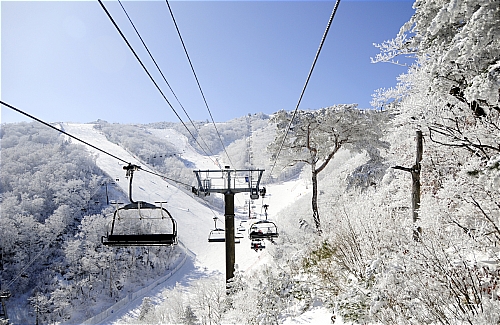 【무주=뉴시스】유영수 기자 = 6.1km의 국내 최장 실크로드 슬로프와 국내 최고 경사도(35도)의 레이더스 슬로프를 보유하고 있는 국제적 규모의 국가대표 스키장 무주리조트 (대표이사 장해석)가 대대적인 변화와 함께 오는 26일 2010~2011년 동계시즌의 첫 문을 연다.(사진=무주리조트 제공) yu0014@newsis.com