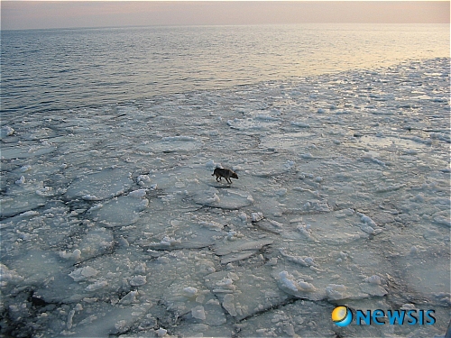 【서울=뉴시스】원추의 [오늘의 운세] 2011년 1월19일 수요일 (음력 12월16일)&nbsp; ▶쥐띠 = 새로운 변화를 갖고 도전하는 것은 좋지만 생각만으로 모든 것이 다 이루어지는 것은 아니다. 믿었던 사람 버리고 또 다른 사람 만나보아야 진실을 알 수 있을 것이다. ㄱ·ㅊ·ㅁ 성씨 서로의 마음을 상하지 않게 하고 건강주의. 밤길 운전은 피할 것.&nbsp; ▶소띠 = 남을 너무 불신하거나 멀리하려고 하지마라. 그 가운데도 장점이 있는 법. 단점만 논하지 말고 선의의 마음을 갖고 긍정적으로 받아들일 때 당신이 하는 일 또한 빛을 본다. ㅁ·ㅈ·ㅇ·ㅊ 성씨 엉뚱한 곳에 신경은 이제 그만 씀이 좋겠다.&nbsp; ▶범띠 = 자신이 선택한 일이라면 가장 가치 있다고 자부심을 가질 것. 현재는 약간의 어려움이 따르지만 시간이 약임을 알라. 직업 변동은 금하고 한길을 택함이 좋을 듯. 1·2·3월생 검정색은 피함이 자신에게 길함을 알 것.&nbsp; ▶토끼띠 = 누구의 잘잘못을 논하기 이전에 있는 그대로를 받아들여 해결책을 찾아라. 회피하려고 두리 뭉실한 태도로 얼버무리지 말 것. 2·5·9·12월생 새로운 것 찾으려고 하지 말라. 모든 것은 마음과 뜻대로 되지 않음을 재인식함이 좋겠다.&nbsp; ▶용띠 = 적극적인 자세가 행운을 가져오니 무슨 일이든 시간을 끌지 말고 자리를 구축해 가라. 5·9·10월생 가족을 위해 시간을 할애한다면 화합하는 속에서 사업도 애정도 꽃필 수 있음을 알 것. 오늘하루 늦은 밤 운전대는 잡지 않음이 좋겠다.&nbsp; ▶뱀띠 = 자존심을 억제하고 순간만 잘 넘기면 흔들림이란 단어가 없어지겠다. 마음을 한 곳에 두고 안정될 때 금전의 힘든 문제도 실마리가 풀리며 도움의 손길 나타날 수. 2·5·11·12월생 거짓 없는 근면 성실함을 보여라. 앞길에 새 길이 열림을 알 것.&nbsp; ▶말띠 = 자신의 능력을 최대한 살려라. 자신감을 가질 때 이제까지 쌓은 능력이 발휘된다. 자기만의 이기적인 생각을 갖고 있다면 역효과를 나타낼 듯. 서·북간에서 도움의 손길 올 수. 손잡고 협력을 이룰 때 순조로움이 따름을 알 것.&nbsp; ▶양띠 = 내 것 주고받지 못하는 격. 상대를 너무 믿지 마라. 상대는 또 다른 길을 모색해 자기의 길을 다져가고 있음을 왜 모르는가. 정리는 완벽히 하고 끝맺는 것이 좋겠다. 어리석음도 한번으로 끝내고 세상을 크게 보라.&nbsp; ▶원숭이띠 = 자기의 본분을 지키지 못하는 자는 삶 그 자체를 논할 필요가 없다. 한곳에 마음 두지 못하고 자만하다 모든 것 잃고 땅치며 운들 눈물 닦아줄자 없음을 알라. 3·5·12월생 실천 그 자체를 받아들여 흐트러진 마음 정리함이 좋겠다.&nbsp; ▶닭띠 = 자신이 생각하고 구상하는 일 순조롭다고 착각하지 말 것. 불행은 예고 없이 찾아드는 법. 이중적인 생각은 자기 무덤가는 결과를 초래할 듯. 흑과 백은 언젠가는 나타나는 법. 약함을 강하게 나타내지 마라.&nbsp; ▶개띠 = 급한 성격에 분별없이 위험에 뛰어드는 일 없도록 주의. 쏟아진 물 다시 주워 담을 수 없는 경우에 처할 수. ㄱ·ㅅ·ㅇ 성씨 진행할 것은 진행하라. 자신에게 남는 것이 무엇인가 생각해 보라. 신경계통 건강에 이상 올 수.&nbsp; ▶돼지띠 = 아랫사람이 못하더라도 인정해주고 칭찬해 줘라. 탓하면 화근이 있을 듯. 3·5·11월생 애정으로 갈등이 심각하다. 연상이라면 정리하라. 시간 낭비만 할 뿐 남는게 없음을 알 것.&nbsp; 구삼원 원장 02-959-8493·010-5584-9393&nbsp;&nbsp; 