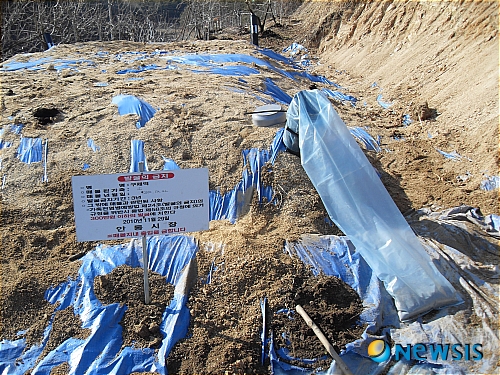 【안동=뉴시스】노창길 기자 = 8일 경북 안동시는 녹전면 신평리 매몰지에 최근 집중호우를 대비해 배수로를 정비하고 침출수 저류조를 폐쇄한 후 침출수관 비닐봉투를 덮어 씌웠다.&nbsp; rccil@newsis.com 