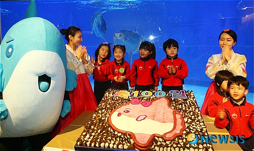 【부산=뉴시스】 하경민 기자 = 17일 오전 부산아쿠아리움 지하3층 바다극장에서 머리만 있는 물고기 '개복치'(학명=몰라 몰라.Mola Mola) 3마리의 반입 100일째를 맞아 열린 '100일 잔치'에 참가한 어린이들이 개복치 모양을 본떠 만든 대형 떡케익을 앞에 두고 축하노래를 부르고 있다. 사육조건이 까다로워 국내에서 100일 넘게 개복치를 전시한 것은 이번이 처음이다.&nbsp;&nbsp; yulnetphoto@newsis.com 