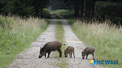 【서울=뉴시스】원추의 [오늘의 운세] 2011년 4월26일 화요일 (음력 3월24일)&nbsp; ▶쥐띠 = 소문난 잔치에 먹을 것 없는 형상이 되지 않도록 실속을 차려라. 인심을 쓰는 것이라 착각할 때 주위에서 비웃고 있을 것이다. ㅊ·ㅂ·ㅇ·ㅈ 성씨 걱정을 떨쳐내라. 무조건적인 자녀사랑은 피하라. 교육적 가치가 있어야 한다.&nbsp; ▶소띠 = 물불을 가리지 않고 충동적으로 일을 처리하지 말 것. 산만한 기분을 잠재우고 휴식을 취함이 좋겠다. 현 상황을 피하기보다 어떻게 협력하는 것이 옳은 길인가를 먼저 생각하라. 당신 눈에는 모든 사람 행복해 보일지 모르나 겉과 속은 다르다.&nbsp; ▶범띠 = 남들 보기에는 행복을 다 갖고 있는 것처럼 보이지만 그 내면에는 고독이란 단어가 존재하고 있다. ㄱ·ㅅ·ㅁ 성씨 현재는 외로움도 고독함도 감수해야 할 때. 답답하겠지만 서두르지 말고 기다리면 풀릴 수 있는 운이 올 수.&nbsp; ▶토끼띠 = 자기생각대로 살아가려는 것은 좋으나 현실을 벗어난 행동은 금하라. 모든 일은 생각과는 판이하게 다른 법. 벗어나려고 하기이전에 둥지가 왜 흔들리고 있는지 원인분석이 필요. 부부간 갈등으로 형제간의 의리 염려된다.&nbsp; ▶용띠 = 이럴까 저럴까 망설임 속에서 시간만 자꾸 갈뿐. 몸과 마음 지칠 대로 지치니 의욕 또한 없구나. 3·8·10·12월생 참는 자에게 복이 있다는 말 상기할 것. 내 고집 내세우지 말고 폭 넓게 받아들여라.&nbsp; ▶뱀띠 = 혼자만이 이 세상 어려움을 짊어진 양 힘겨워 마라. 남의 말에 솔깃해서 상대의 진실을 몰라주니 답답할 뿐이구나. 서로가 잘났다 다투지 말 것. 새로운 것 찾는다고 행복이 보장되지 않음을 알라.&nbsp; ▶말띠 = 누구의 잘잘못을 가리기 이전에 마음을 비우고 상대의 의견을 들어줌이 좋겠다. 이성을 되찾고 다시 한번 생각해 보라. 헤어진 후 마음에 상처만 남을 뿐 생각처럼 깨끗이 지워지지 않는 것은 서로에게 정이 남았기 때문이다.&nbsp; ▶양띠 = 인간이 가장 슬플 때는 믿는 사람에게서 신뢰받을 수 없을 때다. 속고 있다는 생각에서 벗어나라. ㅅ·ㅁ·ㅂ 성씨 하늘이 무너져도 솟아날 구멍이 있다는 말 상기할 것.&nbsp; ▶원숭이띠 = 주변인의 협조가 필요한 운이니 무엇이든 독점하려는 욕심을 상기할 것. 스스로 노력하는 자에 도움의 손길이 오는 법이다. 1·5·7·11월생 애정으로 고민하는 격. 나만을 사랑할 줄 알았더니 경쟁자로 인해 갈등이 있겠다.&nbsp; ▶닭띠 = 현재 상황에서 한걸음 물러나 객관적으로 생각하라. ㅇ·ㅂ·ㅈ·ㅅ 성씨는 가까이에 있는 상대방의 말 흘려 넘기지 말 것. 당신에게 힘이 되어 줄 수. 나만 아는 이기적인 마음에서 벗어나라. 뿌린 것 거두어 드리는게 더 힘겹겠다.&nbsp; ▶개띠 = 충분한 자질과 능력이 있으면서 활동하지 않으면 후퇴하는 법. 적극적인 태도로 자신감을 가져라. 불행하다고 생각하지 않는다면 상대를 서서히 움직일 수 있는 숨은 능력이 나타날 수.&nbsp; ▶돼지띠 = 사물에 대한 호기심이 많고 개척정신도 강하지만 마음의 중심을 잡지 못하는구나. 여자가 하는 일은 순조롭게 풀려 금전적으로 좋지만 자식으로 인해 신경쓸 일 생기겠다. 1·2·3월생 푸른색으로 자신을 나타낼 것.&nbsp; 구삼원 원장 02-959-8493·010-5584-9393&nbsp;&nbsp; 