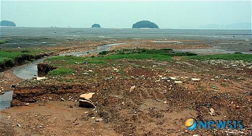 【안산=뉴시스】임덕철 기자 = 경기 안산시 대부도에 건설중인 I골프장이 안전대책을 제대로 갖추지 않고 마구잡이 토목공사를 강행, 폭우로 유실된 토사가 바다로 흘러들어 갯벌생태계를 오염시키고 있는데도 시가 대책을 외면하고 있다. 지난 5일 대부도 바닷가 갯벌에 골프장에서 흘러내린 토사로 갯벌생태계가 위협받고 있다.&nbsp;&nbsp; ultra@newsis.com