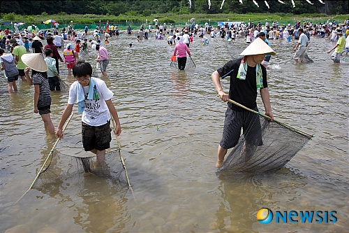 【영덕=뉴시스】강진구 기자 = 경북 영덕군(군수 김병목)은 오는 29일부터 31일까지 3일간 문화체육센터 앞 오십천 둔치 일원에서 ‘2011 영덕황금은어축제’를 개최한다고 밝혔다.사진은 지난해 영덕황금은어축제 은어반두잡이 체험모습. (사진=영덕군 제공) photo@newsis.com