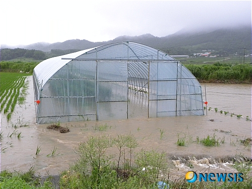 【보령=뉴시스】이진영 기자 = 10일 오후 시간당 20~30㎜의 폭우가 쏟아진 충남 보령시 주산면 창암리 한 비닐하우스가 내린 폭우로 물에 잠겼있다. jin22666@newsis.com