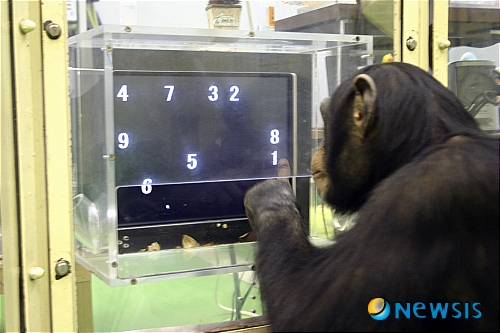 【서울=뉴시스】김용진 박사 '공부의 신, 전뇌학습' 강좌<14>. 해당 사진은 본 기사의 이해를 돕기 위한 이미지. (사진 = 뉴시스DB) 2011.07.12.