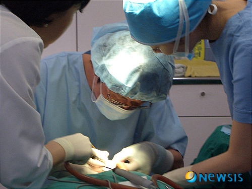 【서울=뉴시스】온라인뉴스팀 = 옥건모발이식센터의 옥 건 원장이 탈모 시술을 진행하고 있다. <사진=옥건모발이식센터 제공> photo@newsis.com