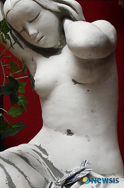 【서울=뉴시스】안세영 교수(경희대 한의대 신계내과학) '성학'<23>&nbsp; 부고환의 꼬리부분에 곧바로 연결되는 부위는 정관(精管: seminal duct)이다. 정관의 길이는 30~40㎝이고, 굵기는 0.2~0.3㎝이며 정관 속의 직경은 0.05~0.1㎝ 정도에 불과해서 비교적 두터운 정관벽을 갖고 있다. 라틴어 ‘ductus deferens’의 의미대로 정관은 정자를 ‘수송(輸送)하는 관(管)’이며 방광 쪽을 향한 강한 율동적 수축운동으로 부고환에서 올라온 정자를 정관팽대부까지 밀어 보내는 작용을 한다. 특히 자녀도 충분히 낳았으며, 특별히 아내를 사랑하는 기혼 남성들의 정관이라면 인위적으로 정자 수송의 기능을 박탈당할 확률이 높다. 바로 정관수술 때문이다. 