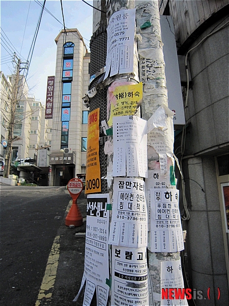 8일 서울 성북구 안암동 고려대 인근의 한 전봇대에 하숙생과 자취생을 구한다는 전단지로 가득차 있다.