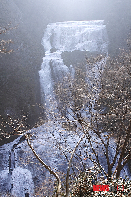 【이바라키=뉴시스】이예슬 기자 = 일본 이바라키 현이 손짓하고 있다. 도쿄에서 차로 2시간 정도 떨어진 이바라키는 계절마다 특색있는 볼거리가 있다. 어느 계절에 와도 자연을 만끽할 수 있는 곳이다.