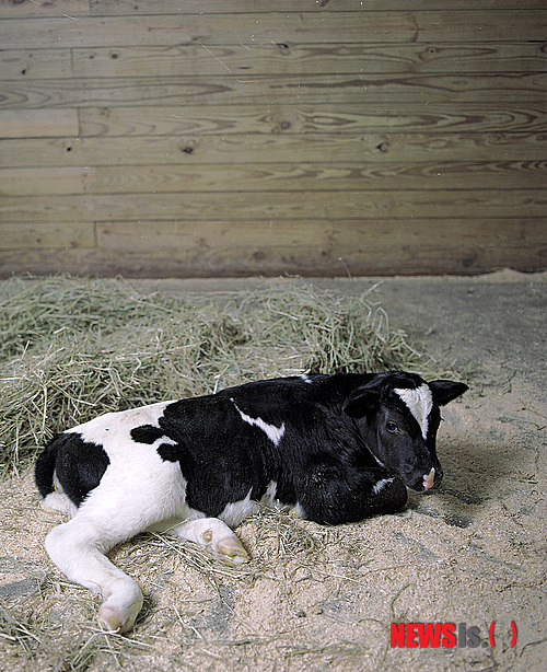 【서울=뉴시스】원추의 '오늘의 운세' 2012년 3월29일 목요일 (음력 3월8일·기축)&nbsp; ▶쥐띠 = 모든 것이 마음과 같지 않구나. 끈기와 인내로 노력해야 이루어질 듯. 애정운은 일방적 요구가 통하지 않으니 서로가 변화를 통해 대화의 장을 열어볼 것. 북쪽에서 도움 줄 사람이 나타나니 함께 협력하면 대성할 수. 회색이 행운 의 색.&nbsp; ▶소띠 = 참고 노력하면 가치를 인정받는다. 작은 것에부터 만족하면 매사 순조로울 듯. 금전운은 좋지만 원치 않았던 임신으로 마음고생이 따른다. 6·7·8월생은 활력소가 필요한 시기.&nbsp; ▶범띠 = 목적한 바를 소신껏 밀어 붙이면 성공할 수. 직장에서도 성실하게 일하면 반드시 승전보가 있겠다. 연애하다가 동거로 이어질 가능성 있겠다. 배짱 좋은 여자를 주의할 것.&nbsp; ▶토끼띠 = 조금 얻은 것이 있어도 방심은 금물이다. 더 큰 것을 잃을 수 있으니 자기 것은 알아서 챙겨라. 절약이 최대의 미덕이다. 애정문제는 갈등이 뒤따르니 대화로 화해하고 확실히 매듭지어라. ㅅ·ㅁ·ㅎ성씨는 건강 조심.&nbsp; ▶용띠 = 지금은 때가 아니니 남녀관계때문에 고민이 있겠다. 6·7·8월생은 심신의 안정과 건강관리에 신경써라. 상대방은 멀리 가는데 매달릴 생각만 하지 말고 자신의 단점이 무엇인지 먼저 파악하라. 10·11·12월생은 푸른색 옷을 피할 것.&nbsp; ▶뱀띠 = 성급한 처신으로 탄탄대로가 멀어진다. 혼자만의 이권을 생각하면 반드시 실패하니 욕심은 금물이다. 힘에 겨우면 북쪽 사람과 상의하면 길하다. 원숭이, 양, 용띠와 상의할 것.&nbsp; ▶말띠 = 하는 일이 힘들어 중도에 포기할 수 있겠으나 곧 새 운이 열리니 자기 수양에 힘쓸 것. 대인관계에 방심은 금물이다. 쉽게 생각하고 쉽게 처리해서는 좋은 결과를 기대하기 어렵다. 4·9·11월생은 애정운이 좋다.&nbsp; ▶양띠 = 꾸준한 노력으로 눈에 보이는 성과가 있겠다. 세상의 눈을 신경 쓰지 말고 현재대로 밀고 나가면 기대 이상의 성과가 따를 듯. 기회를 포착하라. 행운은 항상 오는데 아니다. 밤길 운전 조심.&nbsp; ▶원숭이 = 현재는 불황 상태라 마음이 답답하겠지만 지난 것은 잊고 새로운 것을 준비하는 자세로 임하라. 자식문제를 지혜롭게 대처해 나가야 할 때.모든 문제는 대화 풀어라.&nbsp; ▶닭띠 = 새롭게 시작하지 말고 현재의 위치에서 가진 것을 지켜라. 동료와의 사사로운 언쟁은 피할 때 기대이상의 성과가 있겠다. 1·4·9월생은 육체적 피로가 따르니 신경성 혹은 소화기계통의 병을 주의하라.&nbsp; ▶개띠 = 고난을 헤쳐 온 끈질긴 근성으로 매사에 임하라. 삶의 굴곡은 본인 스스로가 해결할 것. 과거를 거울삼아 현실에 더욱 충실할 때 가족 모두 웃음꽃이 피겠다. ㄱ·ㅇ·ㅁ성씨는 현재의 일에 최선을 다하라.&nbsp;&nbsp; ▶돼지띠 = 주위의 영향으로 변동수가 있다. 도움 주는 사람이 있다고 일확천금의 꿈은 꾸지 말 것. 서서히 운이 열릴 것이나 열과 성을 다해 쌓아 올려라. 9·10·12월생은 금전문제로 고심하겠다. 동쪽 사람에게 협조를 구할 것.&nbsp; 구삼원 원장 02-959-8493, 010-5584-9393