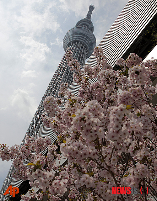 【도쿄=AP/뉴시스】일본 도쿄에서 17일 '도쿄 스카이트리'가 높이 솟아 있다. 634m의 전파탑인 스카이트리는 오는 5월 개장할 예정이다.