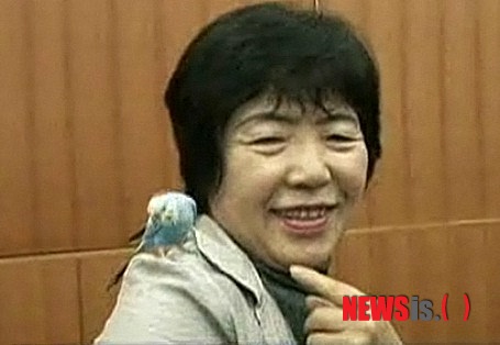 【서울=뉴시스】일본 도쿄 인근 사가미하라(相模原)에 거주하는 주부 다카하시 후미에(高橋文江·64)가 실종됐다 집으로 돌아온 앵무새 '피코'(Piko)를 어깨 위에 앉힌 채 가리키고 있다. 피코는 지난달 29일 자신의 집에서 나가 실종된 후 경찰들에게 집 주소를 정확히 말해 사흘 후 집으로 돌아와 화제가 됐다. (사진출처:뉴욕데일리뉴스)