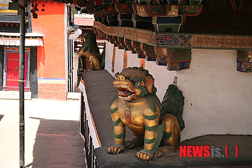 【서울=뉴시스】하도겸 박사의 ‘티베트 이야기’ <5> 2008년 황우석 박사는 세계 최고의 맹견 가운데 하나인 ‘티베탄 마스티프’ 30여 마리를 복제하는 데 성공했다. 사자개라고도 불리는 이 개는 티베트 설산의 영하 20∼영하 30도의 매서운 추위 속에서도 살 수 있다고 한다. 아니 수천 년 동안 살고 왔다고 하는 것이 더 맞는 표현일 것이다. 이 개는 중국에선 짱아오(藏獒)로도 불린다. 주로 황색이나 검은색이나 흰색 털을 가지고 있다. 수천 년 전부터 이 개는 티베트의 양치기 개로 유명했다고 한다. 국립민속박물관 큐레이터 dogyeom.ha@gmail.com