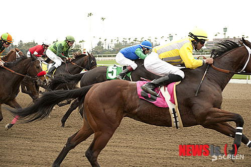 【서울=뉴시스】이예슬 기자 = 더스틴 호프먼(75)이 처음 출연한 미국 드라마가 방송된다. 영화채널 스크린은 '머니 레이스'(원제 LUCK)를 내보낸다.&nbsp; 경마장을 둘러싸고 벌어지는 음모, 배신, 복수 이야기다. 닉 놀티(71)를 비롯한 할리우드 스타들의 선굵은 연기와 탄탄한 극본으로 현지에서 호평받았다.&nbsp; 주인공 '에이스' 역을 맡은 호프먼은 이 제작에도 참여했다. 도박전문가 '에이스'는 누명을 쓰고 3년간 감옥살이를 한 후 사회로 복귀해 경마장에 투자하면서 자신에게 누명을 씌운 상대에게 복수를 한다. 다양한 캐릭터들이 대거 등장해 경마장과 카지노에 빠진 중독자들의 모습을 적나라하게 보여준다.&nbsp; 영화 '핸콕'(2008), '퍼블릭 에너미'(2009)의 마이클 만(69) 감독이 메가폰을 잡았다. 실감나면서 화려한 레이스 장면으로 호응을 얻었다.&nbsp; 7일 밤 10시에 첫 방송되며 제2회부터는 목요일 밤 9시부터 2편 연속 볼 수 있다.&nbsp; ashley85@newsis.com
