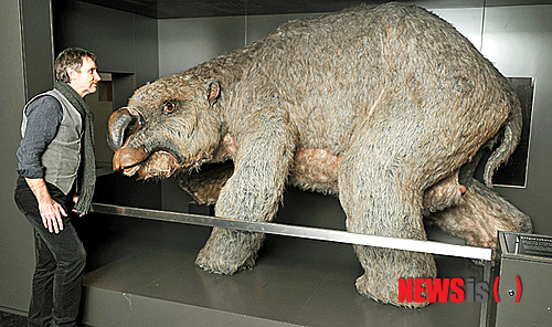 【서울=뉴시스】호주 박물관에 전시된 디프로토돈. 호주 과학자들이 코뿔소만한 고대 웜뱃 디프로토돈의 집단무덤을 발견했다고 영국 언론 스카이뉴스가 21일(현지시간) 보도했다. (사진출처: 스카이닷컴)