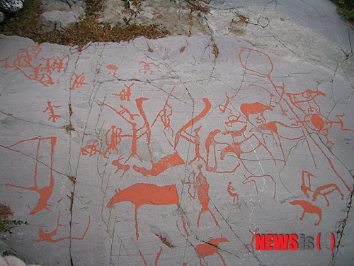 【노르웨이=뉴시스】김에리의 '80일간의 북유럽 일주'<22> 6월25일, 함메르페스트에서 알타로&nbsp; 주말 이틀동안 화창했던 날씨는 6월25일 월요일을 맞아 춥고 어두워졌다.&nbsp; 날씨 때문이기도 하고 함메르페스트를 떠나기 싫은 마음에 기분이 별로다. 아침 8시10분 알타로 떠나는 버스를 타려고 새벽부터 일어나 서둘렀기 때문인지 졸립고 짜증이 난다. 관광안내소에서 받은 버스시간표를 보니 역시 지난해 것과는 달리 변경돼있었는데, 평일에는 하루 2차례 있다.&nbsp; 오후 4시15분 출발하는 차를 탈까, 잠시 망설였으나 함메르페스트에서의 찬란했던 한때를 그대로 간직한 채로 떠나기로 했다. 어제와 달리 한참 떨어진 기온에 다들 옷을 껴입고, 이쪽에서는 ‘소위’ 여름인데도 노르웨이식 털모자를 그대로 쓰고 다니는 현지인들이 아주 많다. 추위속에 살아도 추위에 강한 건 아닌가보다.&nbsp; 가슴 한가득 채워져왔던 청색의 향연에 한껏 취했던 때문인지 흐린 날씨에 보이는 버스 창밖 풍경은 그저 그랬다. 칙칙해보이기 시작하는 함메르페스트를 빨리 떠난 건 다행일거야, 심심해보이고 황량해보이는 산과 들판만 주로 드러났다. 함메르페스트가 있는 섬 지역을 벗어나는 터널과 다리를 지나, 왔던 길을 되돌아 스카이디에서 알타 행 버스를 갈아타야한다.&nbsp; 할아버지 버스기사만이 세심한 배려를 베풀었다. 내가 간간히 창밖 풍경에 카메라 셔터를 눌러대는 걸 알고는 버스앞창을 가린 햇빛가리개를 올려준다. 가는 길에는 순록들이 철없이 뛰어 들곤 한다. 버스가 급정거하면 버스 안쪽으로 무구한 눈망울을 한번 향하고는 지나가버린다. 놀라기도 했지만, 귀엽기도 해서 내가 “어머나”하고 감탄사를 지를 때마다 기사 양반은 즐거워한다. 정말 반사신경이 좋아 버스를 순간순간 멈추기에 다행이지 안 그러면 순록 로드킬을 구경하게 생겼다. 길 막힐 일 없는 곳에서 버스가 급정거하는건 어디까지나 이놈의 천방지축 순록 녀석들 때문이다.&nbsp; 여행 시작 전 한국에서 노르웨이 영화 ‘오슬로의 이상한 밤’을 봤는데, 열차기관사가 지난 겨울 뛰어든 순록 사체를 치우느라 제복에 묻은 피가 아직도 안 빠진다며 다음 겨울에는 꼭 태국에 가겠다고 춥고 긴 겨울을 불평하던 것이 생각난다. 순록들은 내가 놀란 사이 초식동물다운 가벼운 몸짓으로 순식간에 뛰어 사라져 버리곤 해서 사진은 한 장도 찍지 못했다.&nbsp; 노르웨이 버스기사들은 하나같이 친절해서 여행이 한결 즐겁다. “당신 덕분에 버스여행이 정말 즐거웠다”고 인사하니 노기사는 반색하며 ”캐리어, 버스에 기대놓고 기다리라”고 호응한다. 알타행 버스로 갈아탔는데, 젊은 버스기사는 내가 ‘보르스투아(B&aring;rstua Gjestehus)’라는 게스트하우스에 머무른다고 하니 버스정류소가 얼마 되지도 않는데 길가에 있는 이 숙소 바로 옆에 버스를 세워준다.&nbsp; 작은 해프닝은 있었다. 기사가 “인사이드에 짐이 어쩌고, 내리기 힘드니까 정류장 지나서 내려줄게” 하길래 나는 버스 아래칸 안에 짐이 있느냐는 뜻으로 알고 그렇다고 했는데, 승객석 안에만 짐이 있느냐는 뜻이었나 보다. 그냥 출발하는 버스를 손을 흔들고 난리를 쳐서 세워 내 캐리어를 끄집어냈다.&nbsp; ◇암석화 제외, 별다른 볼거리 없는 알타&nbsp; 그러고보니 오전 11시도 안 돼 숙소에 온 것이다. 친절이 몸에 밴 여주인은 지금은 청소 중이라며 오후 3시 이후에나 방을 쓸 수 있다고, 짐을 놓고 가면 2층에 있는 방으로 자기 아들이 옮겨놓을 거라고 장담했다. 아들 얘기를 할 때 상당히 흐뭇해하며 강조를 해 엄청 건실한 청년을 떠올리게 했다.&nbsp;&nbsp; 알타에서 그나마 싸게 묵을 수 있는 숙소인데다가 방 안에 작은 싱크대가 있을 정도로 널직한 방 8개가 있다. 한가로워 좋긴하다. 홈페이지에 있는 광고글들이 그럴 듯하다. 보르스투아는 2차대전 때 핀마르크주가 다 불탔을 때 이를 재건하러 온 일꾼들이 머무르던 집의 이름에서 따온 것이라고 해서 뭔가 좀 역사적인 흔적이 있을 거라 기대하고 주인에게 물어보니 그저 이름만 따라한 것이라고 한다. 그저 큰 대로 곁, 별 멋대가리 없는 붉은색 2층 목조가옥이다. 바로 옆이 리셉션이 있는 주인집인데 뒷마당에는 바비큐를 해먹을 수 있는 사미식 작은 오두막을 지어놓아 가족단위로 즐기기엔 좋을 것 같다.&nbsp; 주인여자에게 받은 지도와 안내책을 보니, 이쪽 지대에서는 등산이나 낚시를 하지 않으면 석기시대 암석화가 있는 알타 박물관밖에 가볼 곳이 없다. 바닷가를 쭉 따라 북쪽으로부터 내려왔으니 보트타고 나가 바다낚시를 하는 레포츠가 가장 성한다는 건 이미 알고 있다. 노르웨이 바다에서의 안전과 지켜야할 낚시 규칙에 대한 안내서도 따로 있다.&nbsp; 버스 한번 타는데 35 크로네(약 7000원 정도). 단자릿수라 감이 잘 안 왔는데, 계산해보면 잠깐 타기에는 ‘억수’ 비싼 가격이다. 노르웨이 북쪽을 잇는 주요 도로인 E6를 따라 알타 동쪽 끝에서 박물관이 있는 서쪽 끝까지 왕복하는 버스다. 숙소에서 시내까지는 차로 5분정도나 될까, 하지만 차가 막힐 일이 없으므로 걸어가기에는 꽤 되는 거리다. 이젠 걸어다니기에도 좀 힘들다.&nbsp; 중심가라고 할 것도 없는 곳은 레마1000, 키위 미니프리스 등 대형 슈퍼마켓과 쇼핑센터만 그득 찬 멋대가리가 하나 없는 장소다. 채석장에서 일하는 남자를 표현한 듯한 작은 동상 하나 서있는 곳 가까운데 이 동네 대표 음식점이라는 알파-오메가가 있는데 온 동네 아저씨들이 다 나와앉아있는 듯하다.&nbsp; 인근 단과대 학생들이 이용하는 스튜던트후세트시티(Studenthuset city)에서 다 태운 빵으로 만든 클럽샌드위치를 비싼 가격에 먹고 암석화를 보러 알타박물관으로 향했다. 보통 동절기에는 오전 8시~오후 3시 여는데, 6월12일~8월12일만 오후 8시까지 연다고 해서 넉넉히 시간 잡고 둘러볼 참이었다. 근데 지역버스 시간이 문제였다. 주인여자에게 받은 버스스케줄표에는 오전 6시부터 저녁 8, 9시까지 버스가 다니는 걸로 돼있는데, 지금은 바뀌었다며 대충 형광펜마크를 해주는 걸 간과했던 것이다.&nbsp; 돌아가는 버스시간표를 확인해보니 ‘오마이갓’, 딱 오늘부터 막차가 오후 5시로 바뀌었다. 버스기사에게 확인차 다시 물어보니 “너 그거 못타면 택시 불러야하는데 그럼 수백 크로네 내야해”하고 안 해줘도 될 걱정까지 해준다. 노르웨이 관광청 사이트로 들어가보면 가장 먼저 눈에 띄는 코너가 ‘값싸게 노르웨이를 여행하는 법’이다. 스웨덴에서만 와도 노르웨이 물가 비싸다고 혀를 내두르는데, 자기네들도 관광객들에게 여기 물가가 엄청 비싼 건 아나 보다.&nbsp; 할 수 없이 내일 한 번 더 오기로 하고 외부에 있는 암석화를 보기 전 내부 박물관부터 훑어보기로 했다. 티케팅을 하는, 이스트를 넣은 빵처럼 부풀어오른 아주머니는 오락가락하는 날씨에 우울증이라도 왔는지 무척 불쾌해 보인다. 가이드북 좀 달랬더니 “중국어 줘? 일본어 줘?” 하면서 신경질적이다. 뭐 기대도 안 했지만 한국어는 당연히 없을거고. 영어로 된 안내서를 해석하는데 머리가 좀 아프다. 내용만은 무척 흥미롭다.&nbsp; 일단 박물관 한쪽은 확장공사 중이라는데, 왼쪽 전시관에서는 대형 엘크 박제 전시가 한창이다. 이곳에서는 박제를 만들어도 일부러 죽이지 않고 이미 사망한 것으로만 만든다는데 그렇기 때문인지 박제마다 어떻게 죽었는지에 대한 설명이 주다. 1년생부터 10년까지 엘크 뿔이 자라는 순서대로 쭉 나열해놓은 것도 흥미로웠다.&nbsp; 여긴 야외에서 발굴된 암석화가 주이기 때문에 박물관 전시는 한가하다. 이쪽 말고도 카피요르드 쪽에서 발견된 암석화, 사미족의 생활상, 알타의 기독교가 전파된 후 흔적, 낚시, 스키, 오래된 오로라 촬영의 기록들 정도가 다다. 그래도 영어를 일일이 해석해 이해하려면 시간이 꽤 걸린다.&nbsp; 잠깐 석기기대 흔적들을 보러 야외로 나갔다가 헤매기만 하다가 버스시간에 맞춰 다시 박물관 건물로 왔다. 협곡 일대에 모두 14개의 지점이 있는데 2.9㎞ 정도 걸어다니면서 봐야한다. 최소 1시간 30분은 돌아봐야한다고. 상냥하고 따뜻한 눈빛을 한 여직원에게 가이드투어에 대해 물어보니 예약을 해야하고 550 크로네(약 10만원 정도)나 한단다. 영어를 비롯 (북유럽에서들 영어를 잘하는 이유를 보니, 라틴어원을 근거로 엇비슷한 단어들이 대다수고 어순도 같은데다가, TV에서 주로 미국과 영국에서 제작된 프로그램들을 틀어주니 별달리 공부하지 않아도 기본적인 영어들을 한다) 당연히 유럽언어로만 진행된다. 박물관 직원들은 다들 외국어 몇 개씩은 하는 인재들인거다. 너무 비싸다고 했더니, 가이드북을 보면서 간략하게 설명을 해준다. (다음날 다시 가니 그녀는 불어로 가이드를 하고 있었다. 그 다음날 알타를 떠나는 버스정류소에서 만났는데 얼마나 반갑게 아는 척을 하던지, 그녀의 미소를 잊지 못할 것 같다)&nbsp; 다섯시 막차를 타고 숙소로 돌아오는데, 여기서 나의 ‘건망증’의 강한 조짐이 시작됐다. 여행짐이 한 짐이다 보니 지금까지 방수재킷을 넣는 주머니 같은 그래도 사소한 것들은 하나씩 흘린 거 같다. 그래도 그럭저럭 잘 이동하고 있었는데 버스기사에게 숙소 이름이 적혀있는 여행안내서 페이지를 보여주고는 떨어뜨리고 그냥 내린 것이다. 마침 숙소에 묵는다는 무척 친절한 네덜란드인 노부부가 같은 버스에서 내리다가 주워서 나를 불러서 이를 건네줬다. (부부동반으로 여행을 다니는 유럽인 노부부들이 많은데 하나같이 교양미가 넘치고 친절한 인품을 가진 이들이다) 때마침 비가 후둑후둑 내리기 시작한다. 일찍 들어오길 잘했다 싶어 숙소 문을 여니 내 짐더미는 여전히 계단 앞에 내팽겨쳐져 있다. 이집 아들 녀석은 어딜 간거야?&nbsp; ◇껄렁한 10대, 여인숙 주인 아들&nbsp; 아침에 여주인이 세탁기를 써도 된다고 해서 그동안 못했던 밀린 빨래나 하려고 보니 세탁실 문이 잠겨있다. 주인집으로 울리게 돼있는 벨을 누르니 한참 뒤에나 내리는 비에 후드재킷을 머리에 뒤집어쓴 이집 아들놈이 어슬렁거리며 나타난다. 눈에 장난기가 드글드글, 아직 솜털이 보송보송한 소년이다. 금발에 파란 눈, 전형적 노르웨이인의 생김새를 하고 있다. 어찌나 키가 큰지 한참을 올려다보고 얘기하려니 목 꺾이겠다. 이 놈이 짐 올려다놓으라고 지네 엄마가 시켰을 텐데도 ‘쌩깐’ 그 놈이 분명하다.&nbsp; “야, 나 세탁기 좀 쓸게”하고 문밖에다 대고 소리를 지르니 못알아듣겠다는 시늉을 하며 귀에다 손을 대고 설렁설렁 걸어온다. “니네 엄마 어디갔냐? 세탁실 문 좀 열어봐” 했더니 “벤테(Bente)한테 물어봐야해” 한다. 목소리가 변성기 지난지 얼마 안 됐을 거 같은데, 그 짧은 세월동안 키가 참 무럭무럭 자랐다. 벤테가 누구냐 했더니 자기 엄마 이름이라면서 한참 뒤에나 온다고 한다. “너 세탁실 열쇠 없어? 니네 엄마가 아침에 써도 된다고 했단 말야” 했더니 미적미적 하며 열쇠를 가져와 문을 열어준다. 아침에 만났던 청소하는 흑인여인(나중에 대화를 나눠보니 르완다에서 온 난민이라고 한다)도 무조건 여주인한테 물어보라고 조심스럽게 말하는게, 무척 ‘쎈’ 여인인듯 하다. 하긴 여인이 ‘여인숙’을 꾸려간다는게 보통 억척스럽지 않으면 안될듯. 뺀질거리는 듯해도 이 10대 아들녀석이 꼬박 자리를 지키는 것이 대견하다.&nbsp; 체크아웃할 때까지 여주인 얼굴은 한번도 못봤다. 카드기계가 안된다고 해 숙박비를 현금 선불로 지불 딱 하고 나니 볼일이 없다고 생각하는 걸까. 주인집을 향한 벨을 누를때 마다 좀 지연되기는 해도 이 녀석이 꼬박꼬박 나타나 세탁기, 건조기 작동법도 알려주고 다시 잠긴 세탁실 문도 열어주고 한다. 아마 이런 일까지 해보지 않은 듯 저도 헤매면서. “야, 니네 세탁기인데 왜 작동법도 몰라?” 하면 “난 그냥 리셉션에 앉아있기만 하는거야”하며 머리를 긁적이면서.&nbsp; 여기를 떠나면서 마지막날 방키를 주러 주인집에 갔더니 아침부터 주인여자는 또 어딜 가고, 이 녀석이 문을 열어준다. 혹시나 짐이라도 들어달라고 할까봐 그래서인지 키만 받고 냉큼 문을 닫는다. 그래도 한창 놀러 나가고 싶을 나이인데 꼬박 집을 지키며 엄마 일을 도와준다는게 기특하다. 사람사는 모양새는 어디나 다 비슷한게 웃음이 난다.&nbsp; 별 일이 없는 한 이 게스트하우스는 저 아들 녀석이 이어가겠지. 오래 뒤 다시 와서 저 녀석이 여기 주인장 노릇을 하고 있는 ‘꼴’을 볼 수 있을까. ㅋㅋ&nbsp; 대중문화평론가 EriKim0214@gmail.com