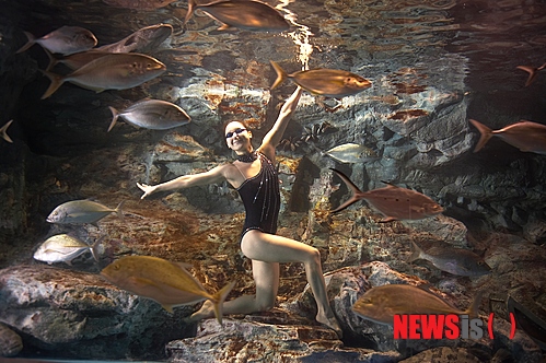 【서울=뉴시스】김정환 기자 = 63씨월드가 27일(현지시간) 개막하는 런던올림픽에 맞춰 '씨월드 런던올림픽' 이벤트를 8월13일까지 벌인다.&nbsp;&nbsp; 먼저, 수중 올림픽인 '아쿠아 올림픽'을 연다. 다이버가 수조에서 올림픽 경기 종목에 맞춰 물고기들과 함께 선보이는 새로운 형태의 피딩쇼다. 다이버와 물고기는 함께 경기에 참가한 선수가 돼 역도, 양궁, 배드민턴 등의 종목에서 승부를 펼친다. 역도의 경우 다이버가 수조에서 힘겹게 역기를 들어올리면 물고기들이 바벨로 모여들어 함께 역기를 들어줘 메달을 획득하게 된다. 지하2층 대형수조에서 기간 중 매일 오후 5시30분에 시작한다.&nbsp; 싱크로나이즈 스위밍과 태권도의 조합인 '올림픽 아쿠아걸스'도 있다. 63씨월드에서 환상적인 수중발레를 선보인 아쿠아 걸스가 싱크로나이즈드를 비롯한 올림픽 종목을 수중에서 환상적으로 재현하는 퍼포먼스다. 아쿠아걸스는 싱크로나이즈드 스위밍 국가 대표선수 출신 3명으로 이뤄졌다. 싱크로나이즈드 공연 외에도 높이뛰기, 태권도 등 각 종목의 자세를 수중에서 선보인다. 대형수조에서 기간 중 매일 오후 12시30분부터 4시30분까지 1시간 간격으로 1일 5회 펼친다.&nbsp; '물고기 축구'도 열린다. 먹이가 담긴 축구공을 물고기가 상대편 골대에 넣도록 한다. 어느 물고기 팀을 응원할지 고민할 필요도 없다. 물고기들은 16개국 유니폼 색에 맞춰 팀을 이룬다. 붉은 물고기는 한국, 노란 물고기는 브라질이 되는 식이다. 실제 경기장처럼 꾸민 수조 내부 디스플레이도 A매치 열기를 돋우기 위해 참가국 기로 장식한다. 이 이벤트는 올림픽 축구 국가대표팀 경기 일정에 따라 진행된다. 멕시코전이 있는 26일, 스위스전이 있는 30일, 가봉전이 있는 8월2일 오후 2시에 한국과 상대국 물고기 축구경기가 열린다. 63씨월드 계단 옆 폴링웨이 수조에서 관람할 수 있고, 수조 7개 중 마지막 1개는 물고기 축구 트레이닝 전용 수조로 활용된다.&nbsp; ace@newsis.com