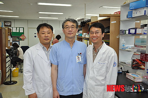 【전주=뉴시스】권철암 기자 = 24일 전북대학교병원은 김정렬(정형외과·가운데), 장규윤(병리과·왼쪽), 박병현(전북대 당뇨질환연구센터·오른쪽) 교수로 구성된 연구팀이 지방줄기세포를 이용한 골 결손 치료법을 제시했다고 밝혔다. 연구팀이 제시한 치료법은 환자의 지방에서 줄기세포를 추출해 지지체에 배양한 후, 골 결손 부위에 이식하는 방법으로 부작용 최소화, 추출 용이, 치료 비용 저렴 등 다양한 장점을 가지고 있다. (사진=전북대병원 제공)&nbsp;&nbsp;&nbsp; photo@newsis.com