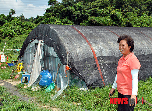 【고창=뉴시스】김종효 기자 = 7일 오전 남자체조에서 대한민국 올림픽사상 최초의 금메달을 획득한 양학선 선수의 전북 고창 자택, 금메달을 딴 양학선 선수는 가장 먼저 "시골에서 비닐하우스에 살고 계신 부모님의 집부터 지어 드리고 싶다"고 말했었다. 집앞에 선 양 선수의 어머니 기숙향(43)씨가 아들의 금메달 소식에 환한 미소를 짓고 있다. seun6685@newsis.com