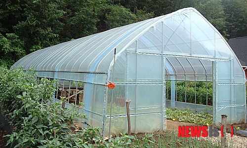 【영월=뉴시스】홍춘봉 기자 = 강원 영월군은 농촌의 소규모 비닐하우스 지원 사업에 지난 5년간 100㎡의 소규모 하우스를 800여 농가에 지원했다고 29일 밝혔다.(사진=영월군 제공)&nbsp; casinohong@newsis.com 