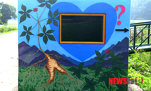 【태백=뉴시스】홍춘봉 기자 = 전국에서 유일하게 사람 이름으로 명명된 강원 태백시 상사미마을의 ‘권춘섭집앞 버스승강장’에 그려진 산삼 벽화가 입소문을 타고 인기를 끌고 있다.(사진=삼수동 제공)&nbsp; casinohong@newsis.com 