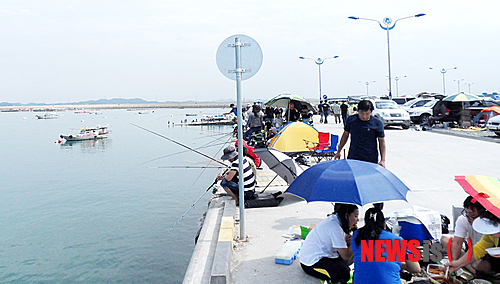 【서산=뉴시스】박상록 기자 = 충남 서산시 대산읍 삼길포항이 낚시 명소로 부상하고 있다. 지난 8일 삼길포항에서 고등어 낚시를 즐기고 있는 강태공들 모습 (사진=서산시 제공)&nbsp; park2223@newsis.com