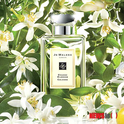 【서울=뉴시스】