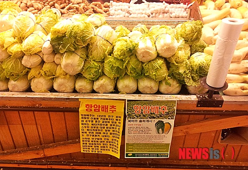  【증평=뉴시스】강신욱 기자 = 충북 증평군 도안면 제일종묘농산이 개발한 '항암배추'가 미국 전역에서 본격 유통되고 있다. (사진=제일종묘농산 제공)&nbsp; photo@newsis.com 