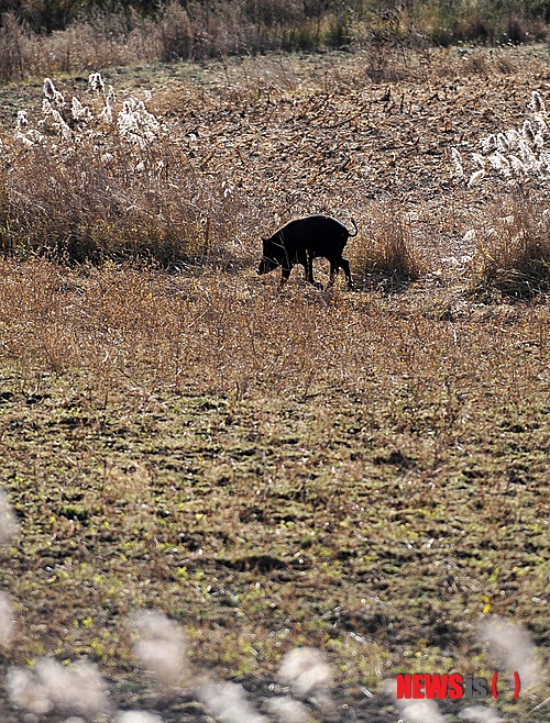 【서울=뉴시스】원추의 '오늘의 운세' 2012년 10월29일 월요일 (음력 9월15일·계해)&nbsp; ▶쥐띠 = 작은 것에도 만족하라. 힘들어도 신용이 재산이니 약속을 이행하라. 서쪽에 힘이 되어 줄 사람이 있다. 애정은 결단이 필요할 때. 시간을 끌면 역부족이다. 2·6·11월생 가족에게 신경 쓰는 것이 급선무다. 자식이 탈선할 수 있다.&nbsp; ▶소띠 = 한탄만 말고 지혜를 얻어 눈을 돌려보라. 분명 본인이 찾는 것이 있을 것이다. 노력 없이 결실이 있겠는가. 토끼·말·양띠와 화합하라. 복이 온다. 9·10·11월생 검정색은 길하나 푸른색을 하는 일이 중단될 수 있으니 피하는 것이 좋겠다.&nbsp;&nbsp; ▶범띠 = 욕심을 버려라 친지나 친구 간에 재물로 인한 마찰이 염려된다. 상대를 이해시키는 방향으로 이끌고 고집을 버려라. 답답한 일 풀린다. 자식은 또 낳으면 되니 실망하지 말고 때를 기다릴 것. 투자는 하지 말고 현재에 만족하도록.&nbsp;&nbsp; ▶토끼띠 = 메말랐던 땅에 만물이 소생하는 것을 보니 봄이 머지 않았다. 지금은 당신의 운에 단비가 오는 격이니 생업이 잘된다. 이는 당신만 혼자 잘나서 되는 것이 아니니 가족들과 더욱 화합해야 한다.&nbsp; ▶용띠 = 남의 힘만 빌리려고 하지 말고 자신이 직접 해결하라. 당신의 능력이면 충분히 가능하니 행동할 것. 애정에 구멍이 나면 때울 수 없으니 조심할 것. 용의 꼬리보다는 뱀의 머리가 돼야 할 때. 지물이나 섬유업계는 상승 운이다.&nbsp;&nbsp; ▶뱀띠 = 막중한 일이 앞에 있으니 신중을 기해 처리하도록. 윗사람의 조언은 천금보다 낫다. 개구리도 올챙이였던 시절을 생각해야 한다. ㅂ·ㅈ·ㅇ 성씨의 힘이 필요하다. 북·서쪽에서 도움 줄 자 나타날 수 있으니 잡아라.&nbsp; ▶말띠 = 약속은 항상 중요한 것인 만큼 금년 약속은 꼭 실행하라. 진실한 마음으로 욕심을 버리고 작은 것에 만족하다 보면 큰 것은 저절로 오게 된다. 2·7·9월생과 일을 도모하면 장래에 큰 힘이 된다.&nbsp; ▶양띠 = 천리길도 한걸음부터 시작하듯 처음부터 무리하게 강행하지 말고 자신의 의견을 상대방에게 강요하지 말아라. 당신의 깊은 뜻은 점차 전달될 것이다. 힘든 당신을 서북쪽 사람 ㅈ·ㅇ·ㅎ 성씨가 도와 줄 것이다. 남녀간 유혹에 빠진다면 영원히 후회 할 듯.&nbsp; ▶원숭이 = 자녀들을 위해 좀 더 시간을 가지고 관심을 보여라. 자녀들의 부탁을 다 들어주다보면 탈선할까 염려되니 현명하게 응하라. 가정의 건강은 곧 사업과 연결될 듯. 범·양 ·말띠에게 지나치게 참견하지 마라. 증권은 멀리할 것.&nbsp;&nbsp;&nbsp; ▶닭띠 = 해가 가기 전 남서쪽 사람에게서 원망의 소리가 나올 듯. 그에게서 연락이 오기만 바라지 말고 먼저 찾아가라. 평안이 올 것이다. 1·9·11월생은 붉은색이 어두운 마음을 맑게 해 줄 것이니 용기를 가져라. 오늘하루 운전대를 놓을 것.&nbsp; ▶개띠 = 자녀의 근심걱정이 없어져 최정상을 위해 열심히도 뛰었건만 마음을 한없이 허전하다. 그런 당신 마음을 가족은 알아줄 것이니 일찍 귀가하라. 2·7·12월생 빨리 주변을 정리하는 것이 좋겠다. 갑자기 생각지 않던 일로 구설이 따를 듯.&nbsp;&nbsp; ▶돼지띠 = 새가 높이 날수록 멀리보듯 지금은 자신의 인생을 살펴보고 뜻을 성취할 때다. 더 이상의 투자는 삼가고 아내의 마음을 상하게 하지 말라. 과거를 회상해 보는 자세가 필요하다. 1·2·8월생 언행조심.&nbsp; 구삼원 원장 02-959-8493, 010-5584-9393 