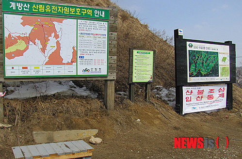 【평창=뉴시스】홍춘봉 기자 = 강원 평창군은 겨울 산행지로 인기가 높은 계방산 등산로를 1일부터 전 구간 개방한다고 밝혔다. 사진은 계방산 입구에 설치된 계방산 등반로 안내표지.(사진=평창군 제공) casinohong@newsis.com